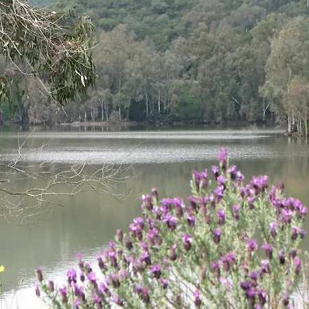 Olaspri *